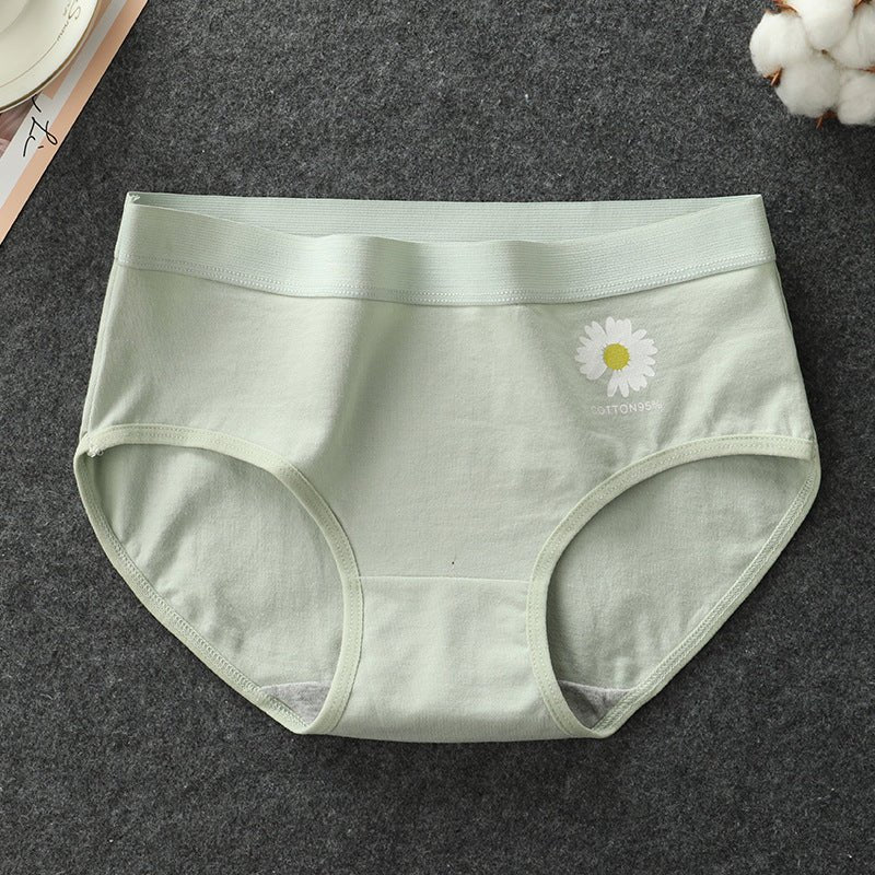 Daisy Cotton Hipster Panty - Luscious Goddess