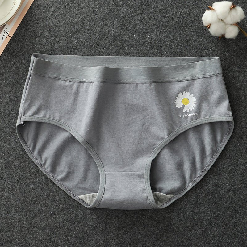 Daisy Cotton Hipster Panty - Luscious Goddess