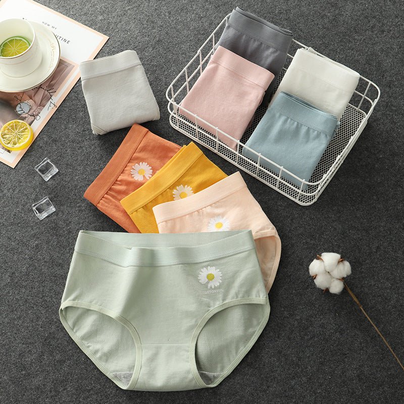 Daisy Cotton Hipster Panty - Luscious Goddess
