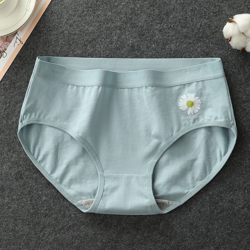 Daisy Cotton Hipster Panty - Luscious Goddess