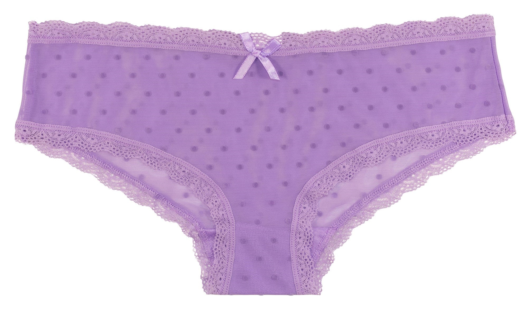 Polka Dot Mesh Hipster with Lace - Luscious Goddess