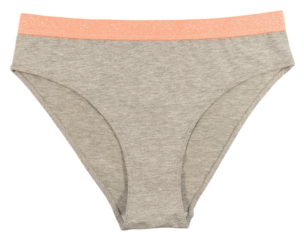 High Waisted Cotton Cheeky with Shimmer Elastic